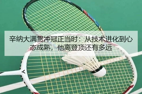 辛纳大满贯冲冠正当时：从技术进化到心态成熟，他离登顶还有多远 - yuntiyu
